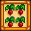 Monoculture