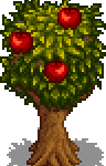 Apple Tree