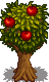 Apple Tree