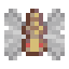 Cave Fly