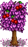 Cherry Tree