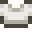 Crop Top Shirt