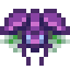 Dangerous Armored Bug