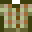 Green Flannel Shirt