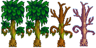Green Rain Tree