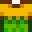 Leafy Top