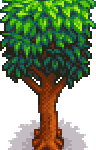 Mahogany Tree