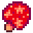 Mushroom Tree Seed