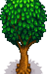 Oak Tree