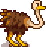 Ostrich