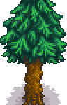Pine Tree