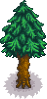 Pine Tree