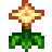 SummerSpangle