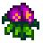 Sweet Pea