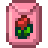 Tulip Bulb